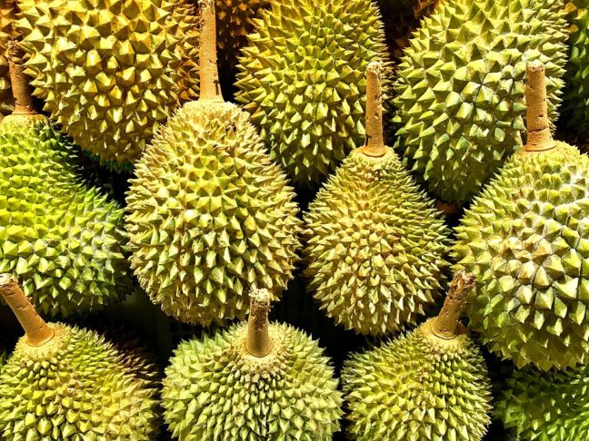 Fruta – Durian: Nativo do Sudeste Asiático, o durian é uma fruta conhecida por sua casca cheia de espinhos. No entanto, o que mais afasta possíveis consumidores é o seu cheiro intenso e desagradável.