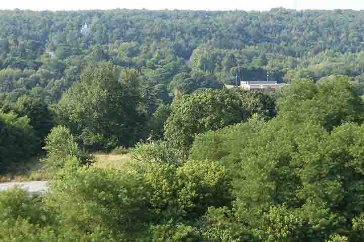 A proximidade de uma comemoração tradicional local fez os gestores municipais apressarem a medida. 

