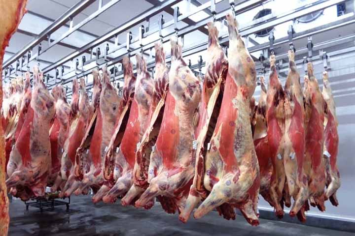 A dificuldade em rastrear a origem e a qualidade da carne torna a fraude mais fácil. A adulteração pode comprometer a segurança alimentar e a qualidade nutricional da carne. Inspeções rigorosas e rastreamento eficaz são necessários para garantir a integridade do produto e proteger os consumidores.