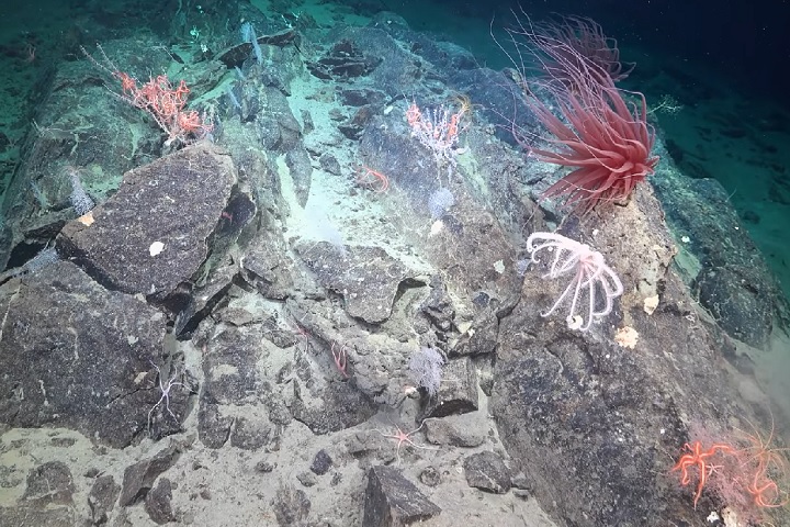 Esses ambientes já eram estudados, mas o subsolo marinho permanecia inexplorado.