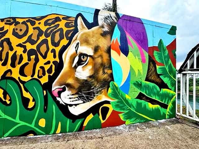 As imponentes imagens de onças nos paineis têm como finalidade enfatizar a relevância da espécie na conservação dos bens naturais da cidade paranaense. O mural foi produzido a partir de parceria entre o projeto Onças do Iguaçu e a Secretaria Municipal do Turismo.
