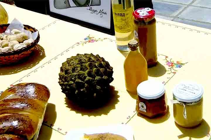 Para este bioma, o Araticum, como espécie frutífera, desempenha importante papel na conservação dos ambientes nativos, e também pode ser explorado comercialmente, apresentando potencial agronômico.