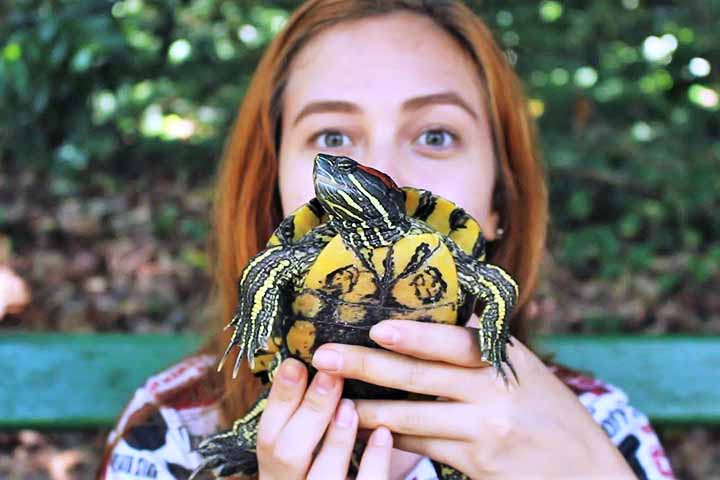 Criação doméstica: Algumas espécies podem ser criadas como pets, desde que tenham aquaterrários adequados, com água limpa e local seco para descanso.

