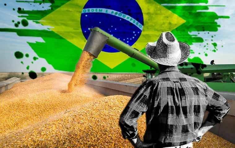 No Brasil, onde a produção de trigo está em constante crescimento, é essencial valorizar os agricultores que enfrentam desafios climáticos e econômicos.