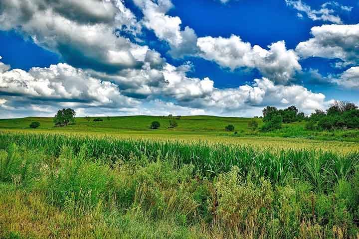 A safra brasileira de grãos (2022/2023) está estimada em 77 milhões de hectares, 312 milhões de toneladas, e produtividade média de 4.048 kg/ha. O milho total equivale a 22 milhões de hectares e a 124 milhões de toneladas, com produtividade média de 5.617 kg/ha.
