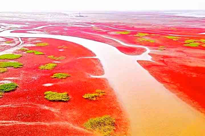 A principal vocação da Praia Vermelha é a do ecoturismo. Resorts e outras acomodações ocupam as cercanias. 
