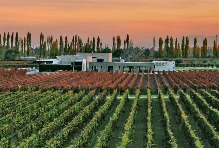 Em seguida apareceram França,  Nova Zelândia, Grécia, Chile, Argentina, Austrália e Hungria. Áreas extensas são ocupadas por vinícolas que movimentam a economia, inclusive com geração de empregos.