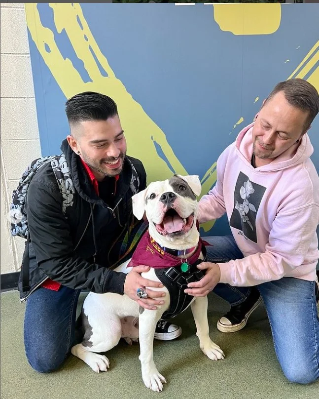 Ter um pet em casa é sinônimo de muita responsabilidade. E ela começa logo escolhendo o nome para o seu animalzinho. 