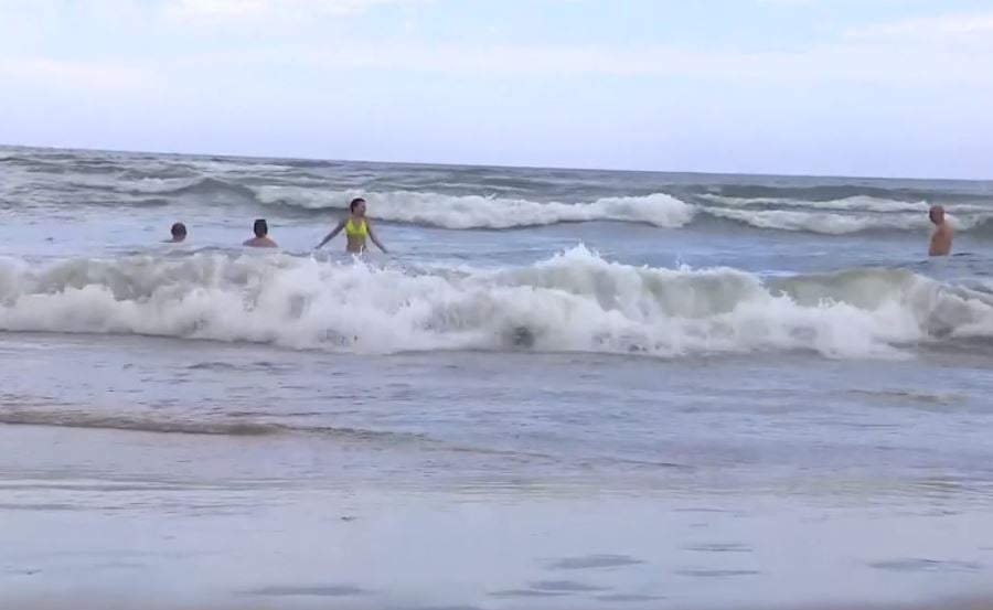No Brasil, aguas vivas têm proliferado no litoral  gaúcho.Desde o começo da Operação Verão no Rio Grande do Sul, em 16/12/2023, o litoral gaúcho já teve mais de 12.600 casos de lesões por água viva.