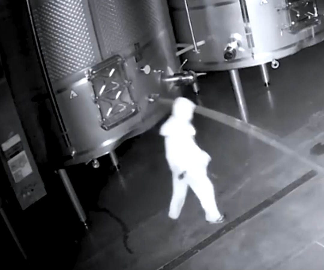 O presidente da empresa, José Moro, disse logo após o vandalismo que hvaia deixado com a polícia uma lista de suspeitos.  Cometeu um atentado contra os trabalhadores da Cepa 21, contra nossos viticultores, que lutam todos os anos para colher a melhor uva, disse Moro.