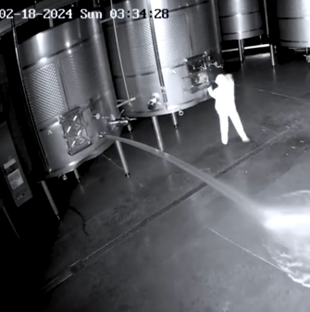 A polícia da Espanha prendeu em 2024 uma mulher que havia invadido uma adega e causado o despejo de quase 80 mil litros de vinho tinto de alto padrão. Imagens do circuito interno da empresa mostraram a ação. O FLIPAR mostrou e republica para quem não viu 