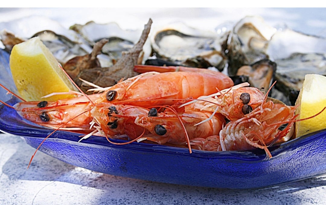 Todos os animais pertencentes a esse filo possuem sistema nervoso, formado pro gânglios cerebrais bem desenvolvidos, de onde parte o cordão nervoso central ganglionar. 