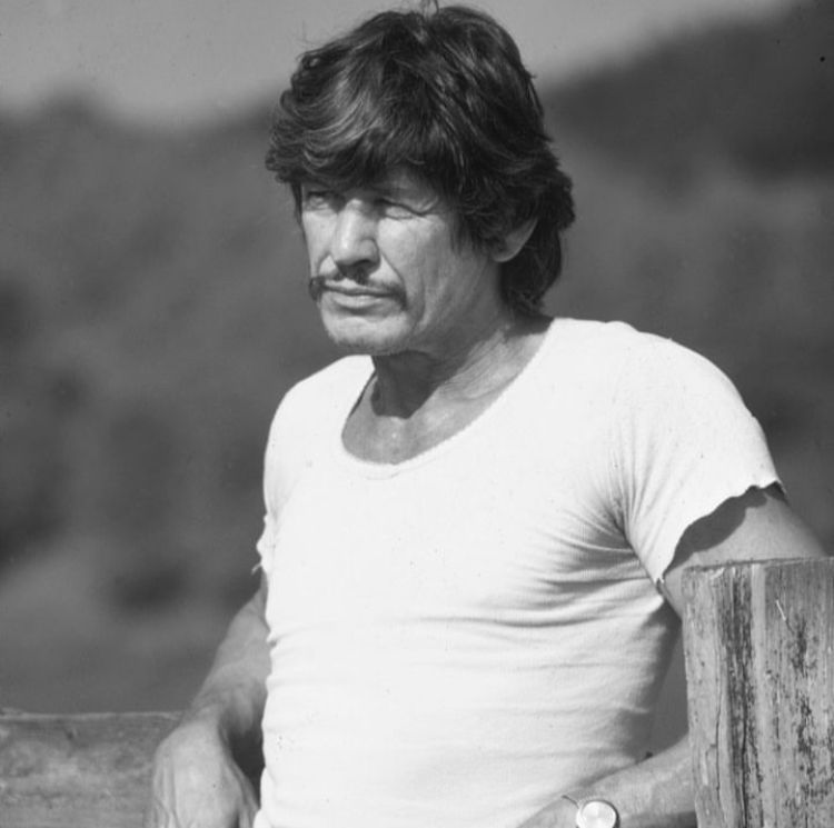 A carreira de Bronson nos cinemas teve início nos anos 50, mas ainda de forma tímida. Nos primeiros filmes seu nome sequer era creditado. 