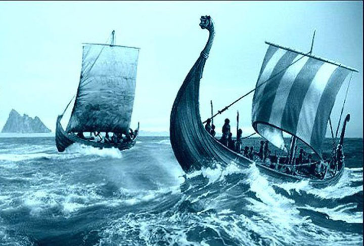 A agricultura era a principal ocupação e base de subsistência dos povos vikings. O artesanato também tinha destaque, assim como o comércio marítimo.