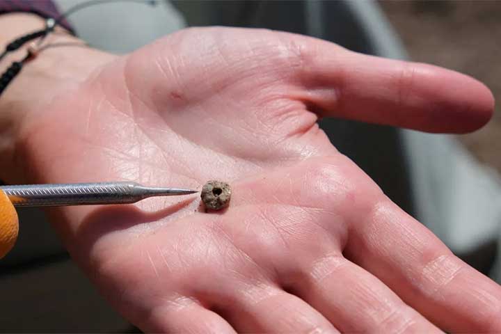 Os artefatos estavam no local em que se estabeleceram grupos humanos de caçadores-coletores. 
