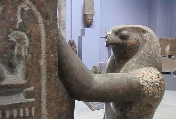 O falcão também é sagrado no país, pois o deus Rá ou Hórus era idealizado com corpo de homem e cabeça da ave. Esta figura também era considerada uma divindade solar, criadora de todas as coisas. 