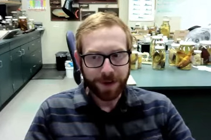 De acordo com o pesquisador, encontros raros como esse oferecem uma oportunidade incrível de aprender mais sobre essa espécie e seu comportamento”. Saiba mais sobre o peixe-remo!