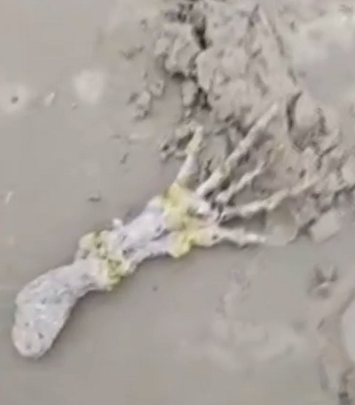 Eles notaram que o objeto tinha uma estrutura que parecia a de dedos e acharam que poderia se tratar de um esqueleto humano.