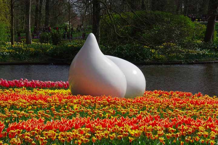 A popularidade das tulipas explodiu na Holanda no século 17, durante a Mania das Tulipas, um período de especulação frenética em que bulbos raros de tulipas chegaram a valer mais do que casas.