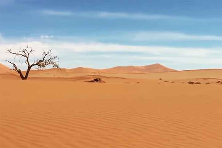 Impelidos pelo nevoeiro cegante do mar, que prevalecia ao longo da costa, muitos navios naufragaram, dando origem ao maior cemitério à beira-mar do mundo.