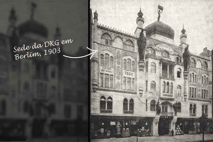 No local, não existe uma única árvore ao longo dos mais de mil quilômetros de costa. Dessa forma, além dos arbustos, outra atração biológica da costa dos esqueletos são os líquens, que ocorrem com grande abundância e diversidade.