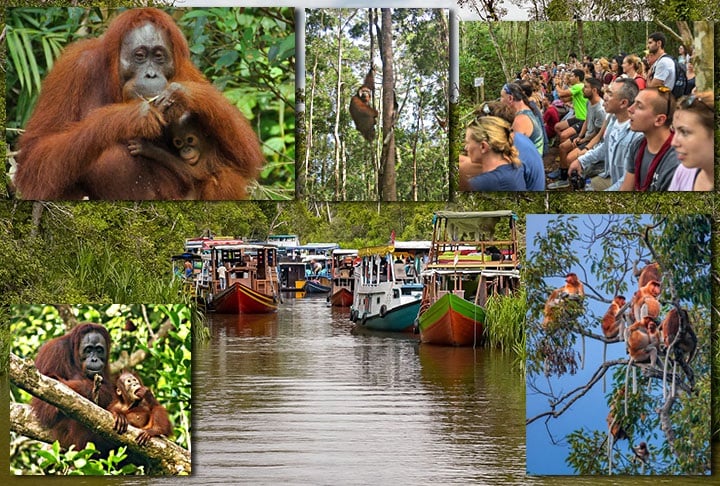 INDONÉSIA - Com 17 mil ilhas, o país tem uma diversidade natural que impressiona, com bosques, selvas, picos, recifes, tudo isso em povoados antigos que mantêm uma cultura milenar. E a Linha do Equador passa pelo país. 