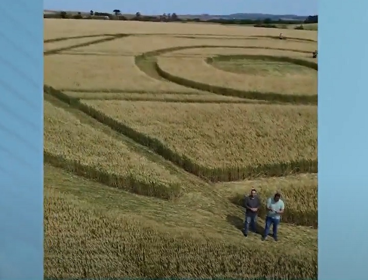 Depois de coletar fotos, vídeos e materiais do local, a equipe disse que no momento não dá para confirmar se o agroglifo é realmente verdadeiro”.