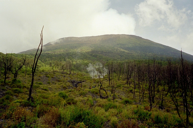 O país tem uma vasta cobertura florestal, com rios caudalosos e montanhas vulcânicas fumegantes.