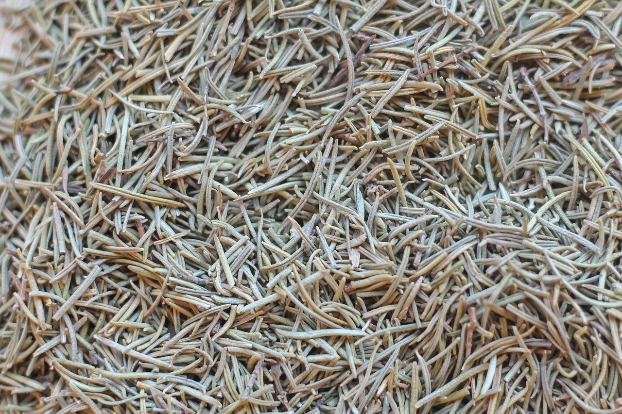 Desse modo, o grupo exposto ao aroma de alecrim teve desempenho 60% a 75% melhor em lembrar de realizar tarefas futuras comparado ao outro grupo.