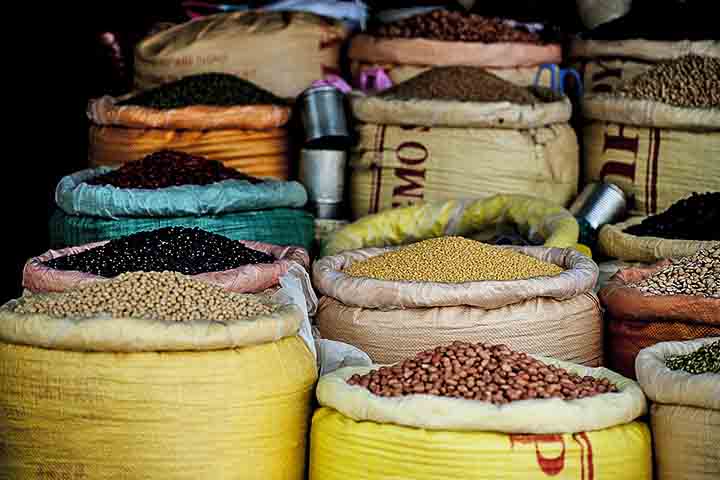 Veja agora outras leguminosas que também rendem bons pratos de bolinhos, preparados com o acréscimo de temperos que variam conforme o grão. 