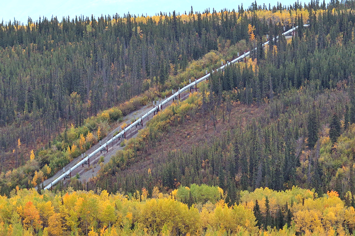 Os dois sistemas de transporte energético têm papel estratégico no cenário geopolítico. 
