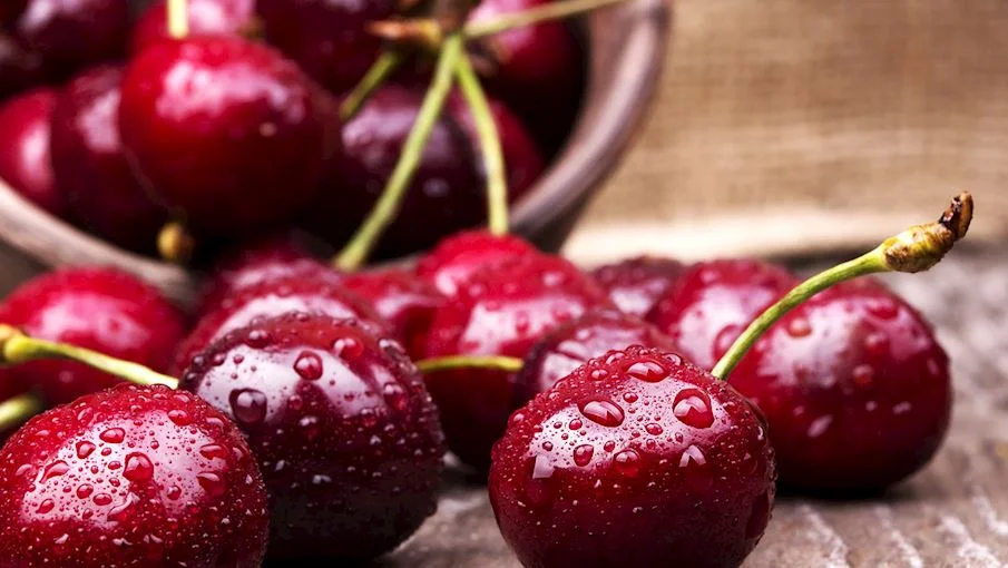 6. Wiśnia nadwiślanka: É uma cereja cultivada tanto para consumo direto quanto para fins de processamento nas voivodias de Mazowieckie, Świętokrzyskie e Lubelskie, na Polônia, desde o século XX. Elas são das cerejeiras sokówka , a palavra refere-se à palavra polonesa para suco, sok , e as cerejas são usadas principalmente para fazer sucos de frutas.