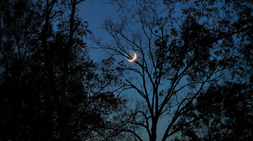 Veja qual fase da lua estamos neste domingo, dia 29 de junho de 2025; e confira calend&aacute;rio do m&ecirc;s