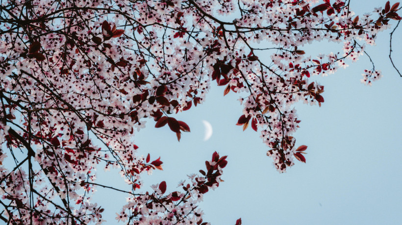 Veja qual fase da lua estamos nesta segunda, dia 30 de junho de 2025; e confira calend&aacute;rio do m&ecirc;s