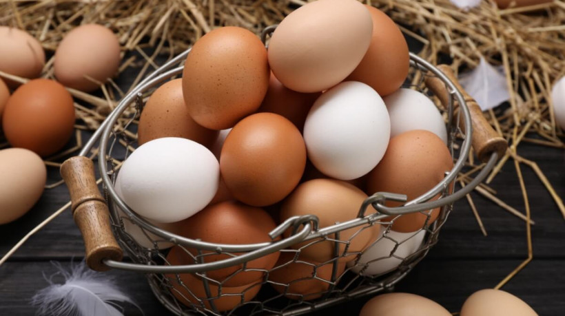 Os ovos se destacam pela combinação de praticidade e valor nutricional (Imagem: New Africa | Shutterstock)