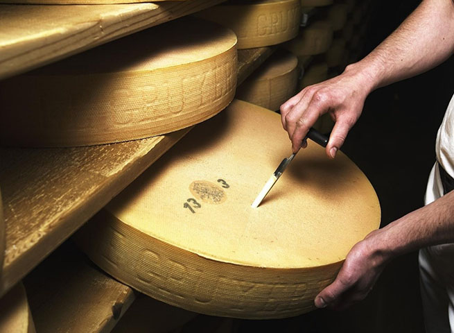 O Gruyère é conhecido por seu longo processo de envelhecimento, que confere um sabor encorpado e levemente adocicado.