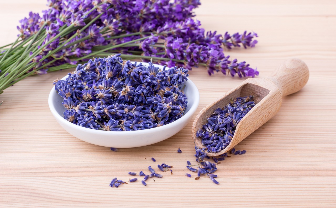 Lavanda: O aroma da lavanda, seja em forma de óleo essencial ou chá, é eficaz para relaxar a mente e aliviar o estresse. Pesquisas mostram que ela melhora a qualidade do sono e reduz casos leves de insônia.