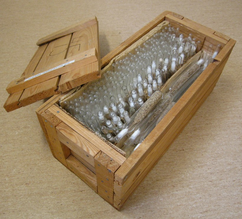 Caso haja uma ampla destruição de vegetação nativa, a ponto de eliminar certas espécies de plantas, as sementes de Svalbard serão usadas para recomposição. 