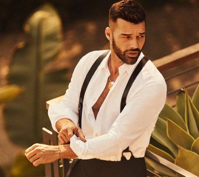 Ricky Martin (cantor)- Nascido em 24/12/1971, o porto-riquenho despontou na carreira como membro dos Menudos, na década de 80. Seu single Livin' la Vida Loca alcançou o topo das paradas no final dos anos 90. Ele conquistou diversos prêmios, como Grammys e Billboards.