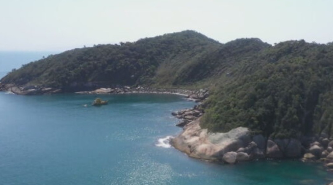 Mergulhadores têm atuado de forma persistente na Reserva  Biológica Marinha do Arvoredo, arquipélago formado por quatro ilhas entre Florianópolis e Bombinhas, no litoral norte de Santa Catarina