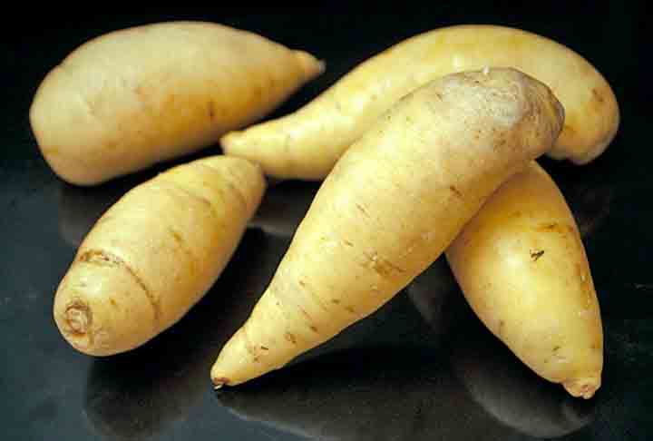 A batata-baroa ou mandioquinha é um tubérculo com inúmeras vantagens para a saúde. Fonte de carboidratos complexos e ideal para o pré-treino, podendo substituir a batata-doce, por ser um alimento altamente energético.