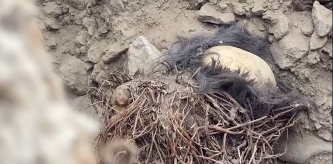 Em outro momento, arqueólogos peruanos fizeram, em um espaço sagrado de um dos bairros mais antigos de Lima, capital do Peru, a descoberta de quatro múmias de crianças ao lado de restos mortais de um adulto. Os crânios das múmias ainda tinham cabelos.