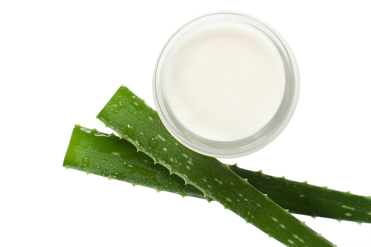 A babosa, também conhecida como Aloe vera, é uma planta medicinal com uma longa história de uso em tratamentos caseiros no Brasil, especialmente devido aos seus benefícios para a pele e os cabelos.