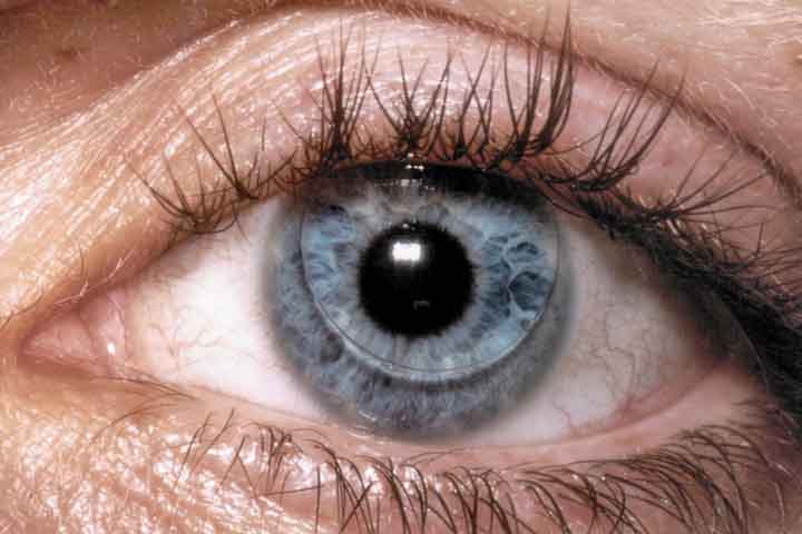 A introdução das lentes descartáveis e multifocais nas décadas de 80 e 90 consolidou o uso das lentes de contato como uma alternativa viável aos óculos. 