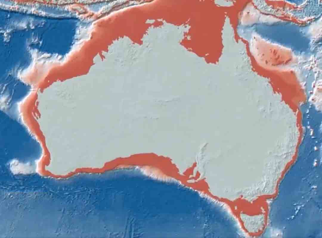 Estamos basicamente dizendo que poderia ter havido esse número de pessoas”, concluiu.