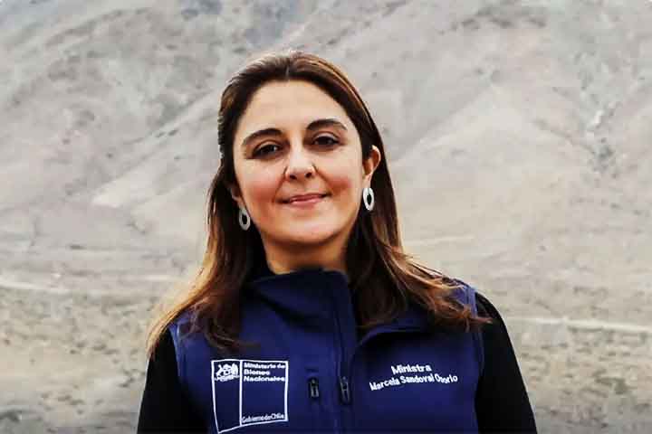 Depois de toda a repercussão do vandalismo, a ministra dos Bens Nacionais do Chile, Marcela Sandoval, se manifestou anunciando que medidas judiciais serão tomadas contra os responsáveis.