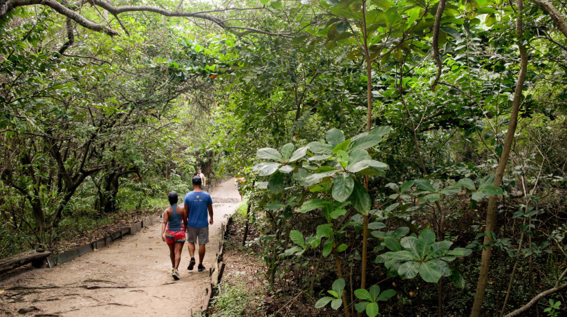 FORTALEZA,CEARÁ, BRASIL,04-05-2025: Movimentação de pessoas na reabertura das trilhas do Parque do Cocó que estavam fechadas devido as chuvas e alagamentos. (Foto: Samuel Setubal/ O Povo)