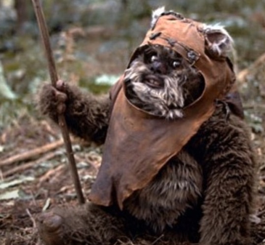 Um dos seres mais adoráveis, mas ao mesmo tempo criticáveis, são os Ewoks. A forma de comunicação deles foi baseada no idioma tibetano e inspirada em um documentário da BBC.