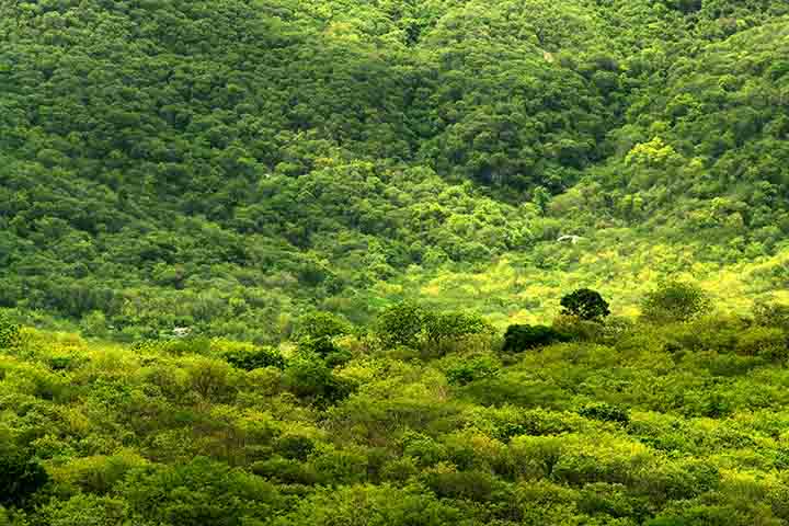 Esse Parque tem o espaço totalizando 3.796 km² e apresenta um vasto patrimônio biológico, geológico e paleontológico. Parte de seu território já era reconhecido como Área de Proteção Ambiental Chapada do Araripe desde 1997.