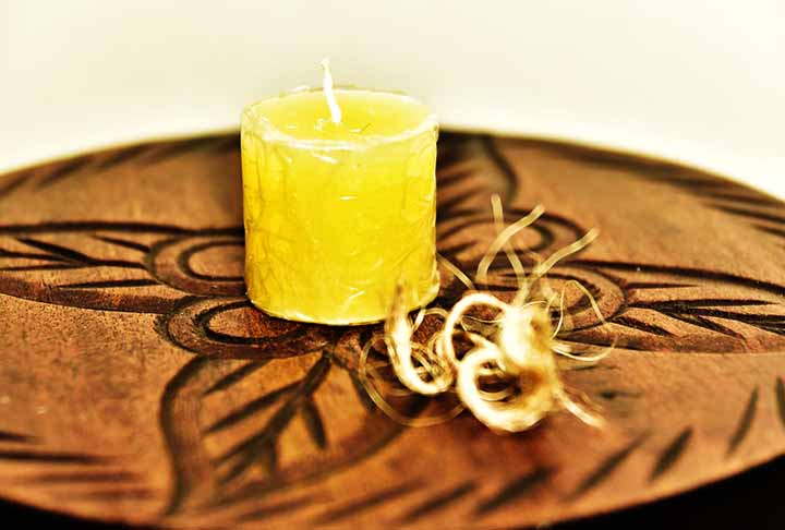 Repelentes naturais - Há alimentos e plantas que atuam como repelentes naturais dos insetos. Citronela, manjericão e hortelã estão entre os exemplos. 

